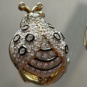 Ladybug crystal brooch